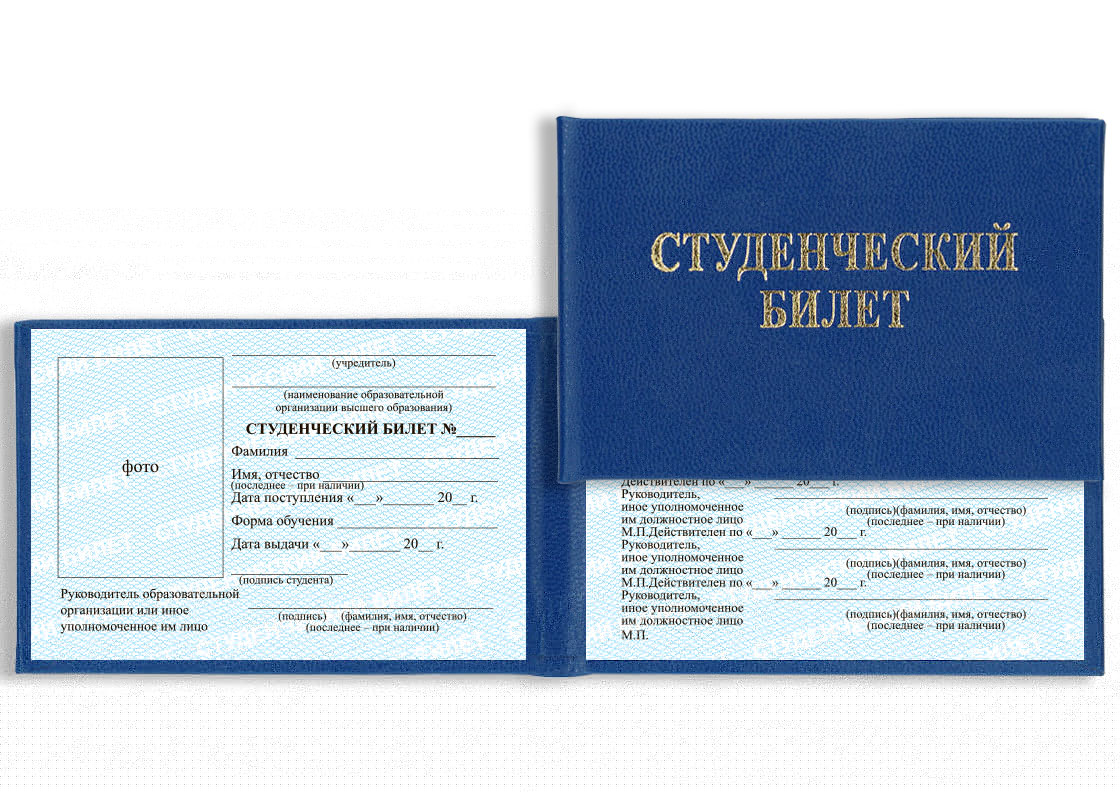 Российский студенческий билет — пример 1